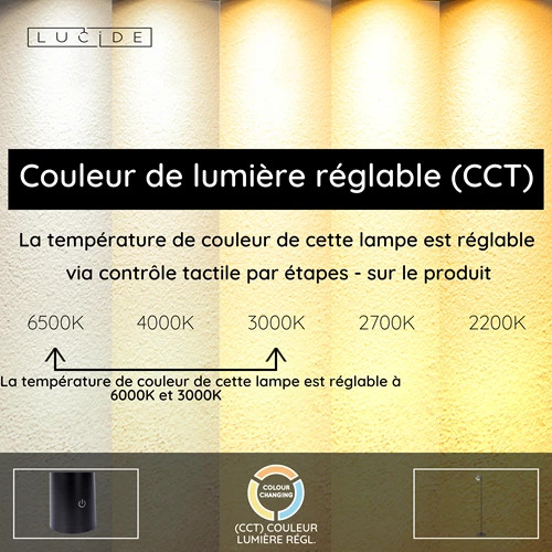 Lucide SKANSKA RECH - Lampadaire Rechargeable Intérieur/Extérieur - Batterie/Piles - Ø 23 cm - LED Dim. - CCT - 1x3W 3000K/6000K - IP44 - Fer gris - USP